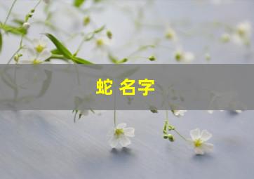 蛇 名字